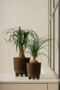 VASO ARIA - Image 2