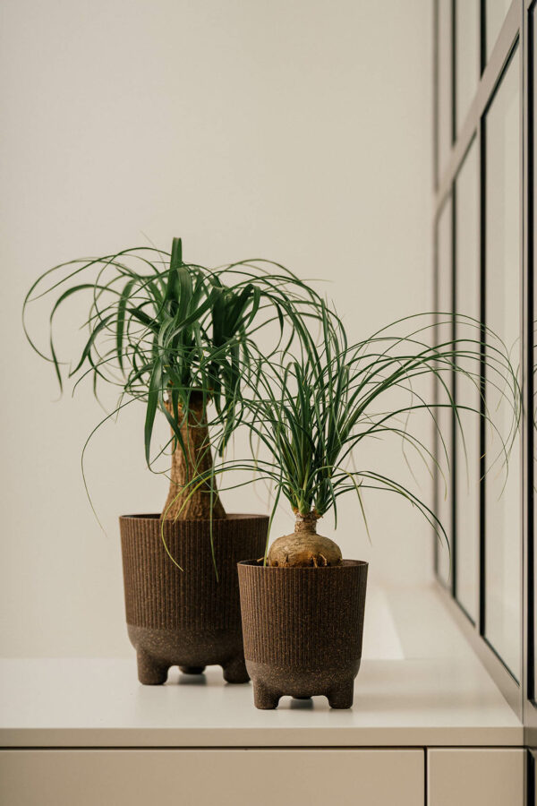 VASO ARIA - Image 2