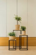ENNA - Image 3
