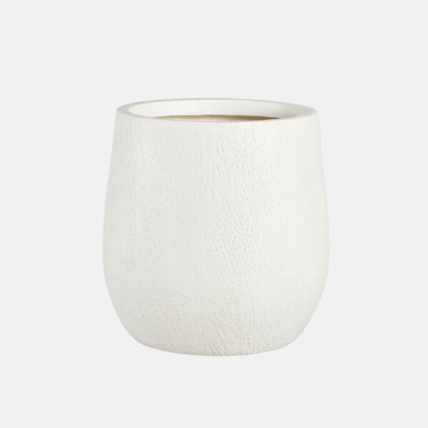 CAMPANA CARPI - Image 1