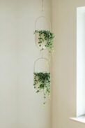 COLGAR TRENTO - Image 2