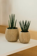 ACRA - Image 2