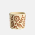 BOX AUREA - Image 3