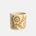 BOX AUREA - Image 4