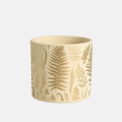 BOX LEAF (6 PCS) - Image 3