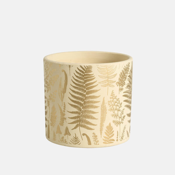 BOX LEAF (6 PCS) - Image 3
