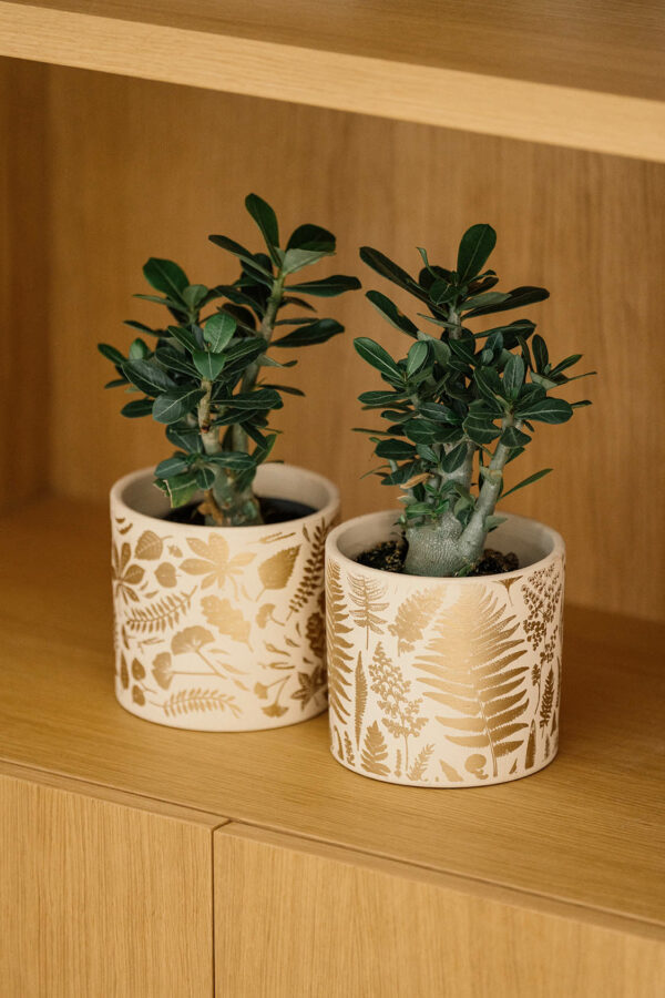 BOX LEAF (6 PCS) - Image 2