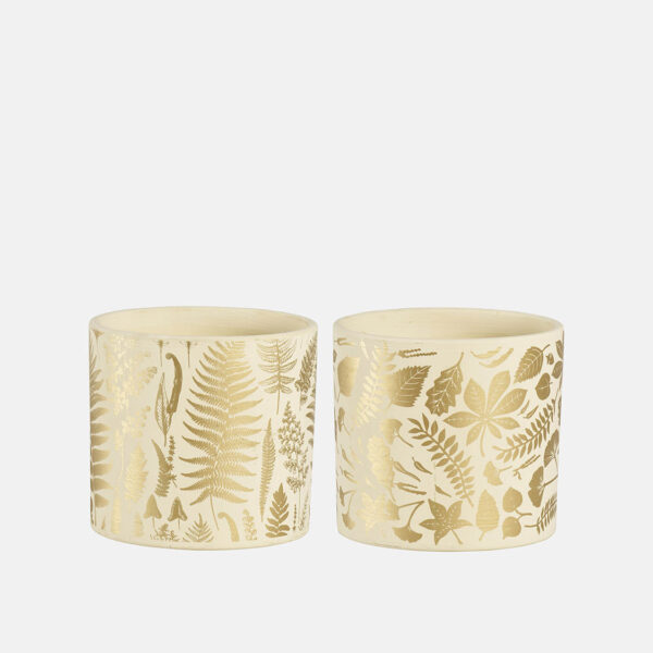 BOX LEAF (6 PCS) - Image 1