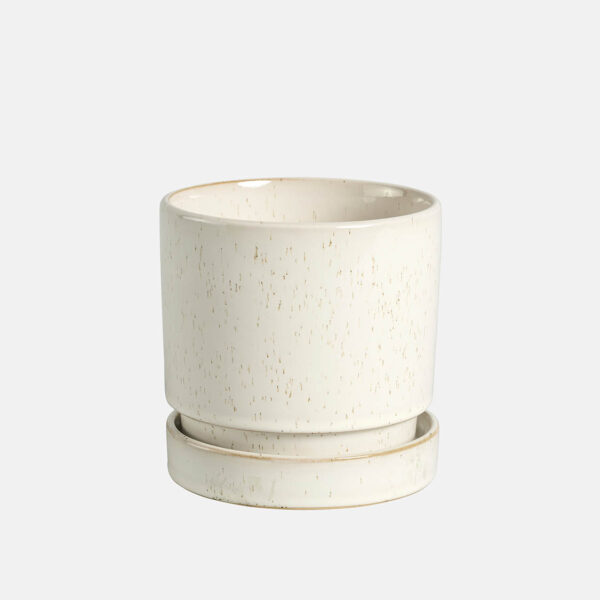 BOX ASTI + PLATO (6 PCS) - Imagen 3