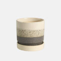 BOX ASTI + PLATO (6 PCS) - Imagen 4