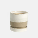 BOX ASTI + PLATO (6 PCS) - Imagen 6