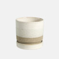 BOX ASTI + PLATO (6 PCS) - Imagen 7