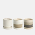 BOX ASTI + PLATO (6 PCS)
