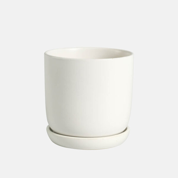 CUNEO + PLATO - Image 1