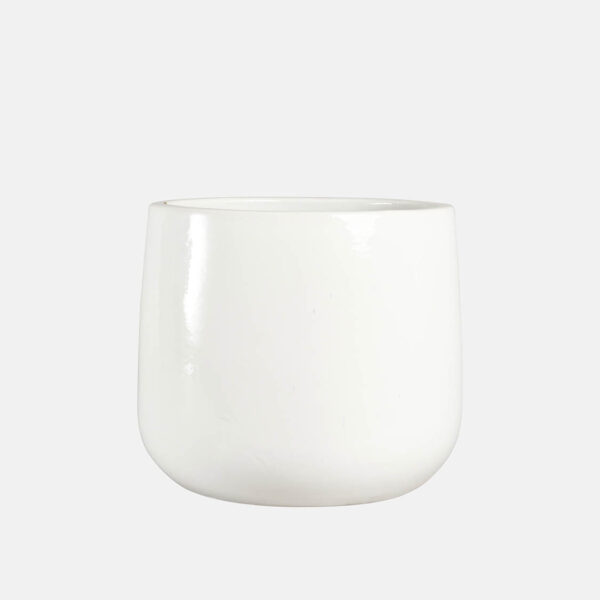 CAMPANA XUE – Image 1