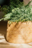 BASKET LEMA - Image 3