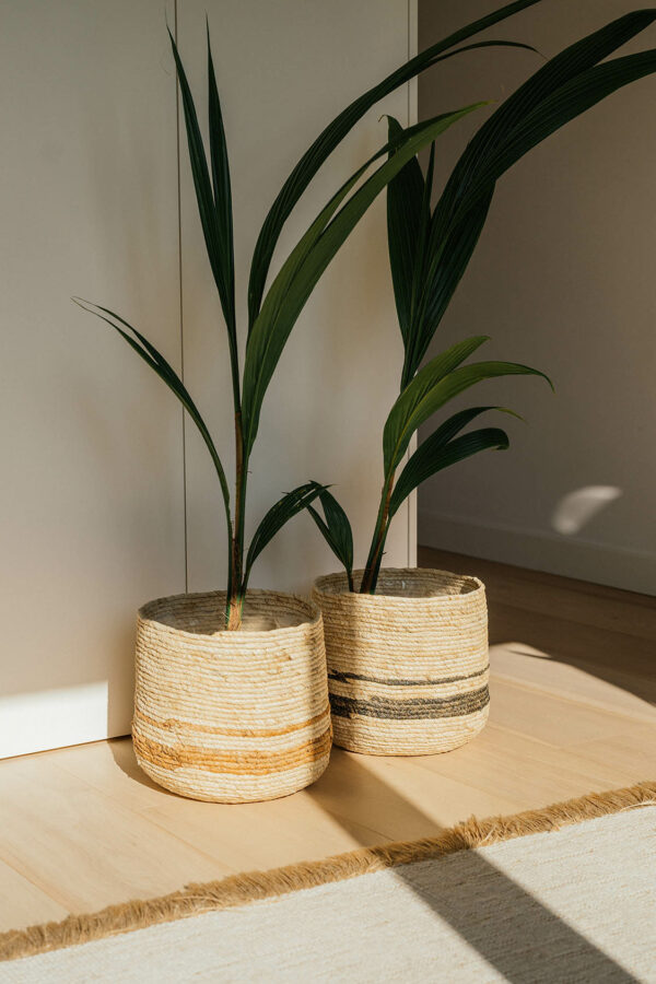 BASKET MAKATI - Image 3