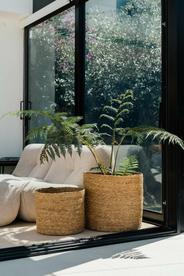 BASKET IBALO – Image 2