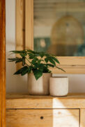 IMPERIA - Imagen 2
