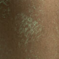 CAMPANA ALTA SION - Imagen 3