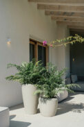 CAMPANA ALTA SION - Imagen 2