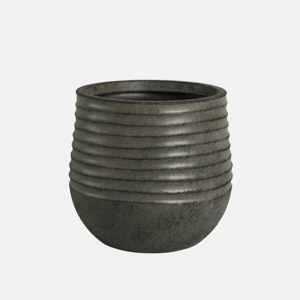 CAMPANA LODI – Image 1