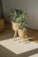 BASKET VOLOS WITH LEGS – Image 2