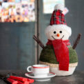 SNOWMAN - Imagen 2
