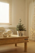 POT WOOD FOREST - Imagen 3