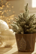 POT WOOD FOREST - Imagen 6