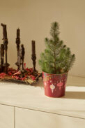 METAL POT FROSTY - Imagen 2