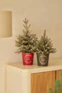 METAL POT SHIMMER - Imagen 3