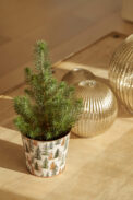 METAL POT REINE - Imagen 2