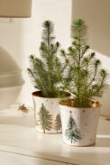METAL POT PLUME - Imagen 2
