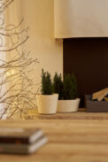 POT BRISE - Imagen 4