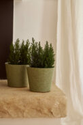 POT BRISE - Imagen 3