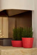 POT BRISE - Imagen 2