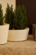 BOWL BRISE – Image 2