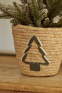 CONICO MIMBRE TREE - Imagen 3