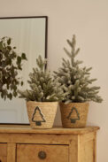 CONICO MIMBRE TREE - Imagen 2