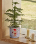 POT WOOL GINGER - Imagen 2
