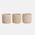 BOX PISAC (12 PCS)