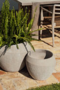 CAMPANA NOIDA - Imagen 2