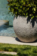 CAMPANA SURAT - Imagen 2