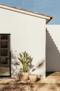 CAMPANA GALLE – Image 2