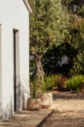 CAMPANA MALAGA – Image 2