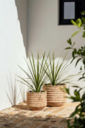 CAMPANA CORDOBA - Imagen 2