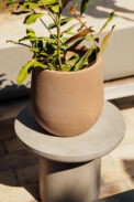 CAMPANA BASEL - Imagen 2
