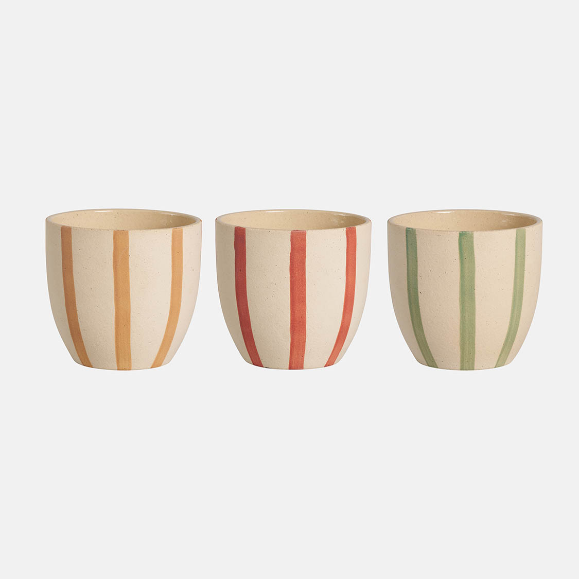 34807002 BOX CACTUS QUETTA (12 PCS) – Image 1
