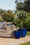 CAMPANA ORIENT GLAZED – Image 2